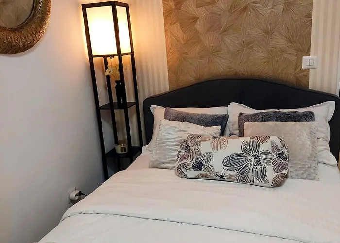 Paladis - Free Parking * Бухарест